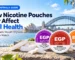 Cover of Nicotine Pouches and Oral Health: What Does Research Say?